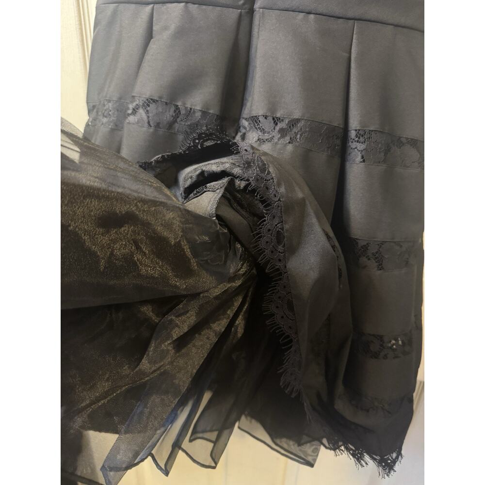 White House Black Market Black Lace Size 8 Voluminous Fit & Flare with Crinoline - Picture 7 of 12